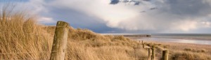 The Littlehampton beach dunes
